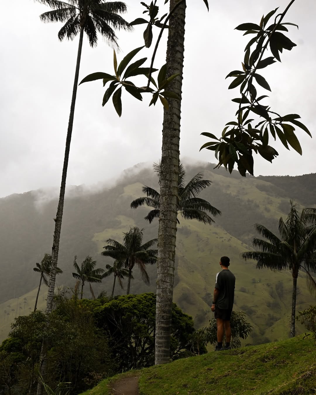 FAQ's - Image-Cocora FAQ's - Image-Cocora