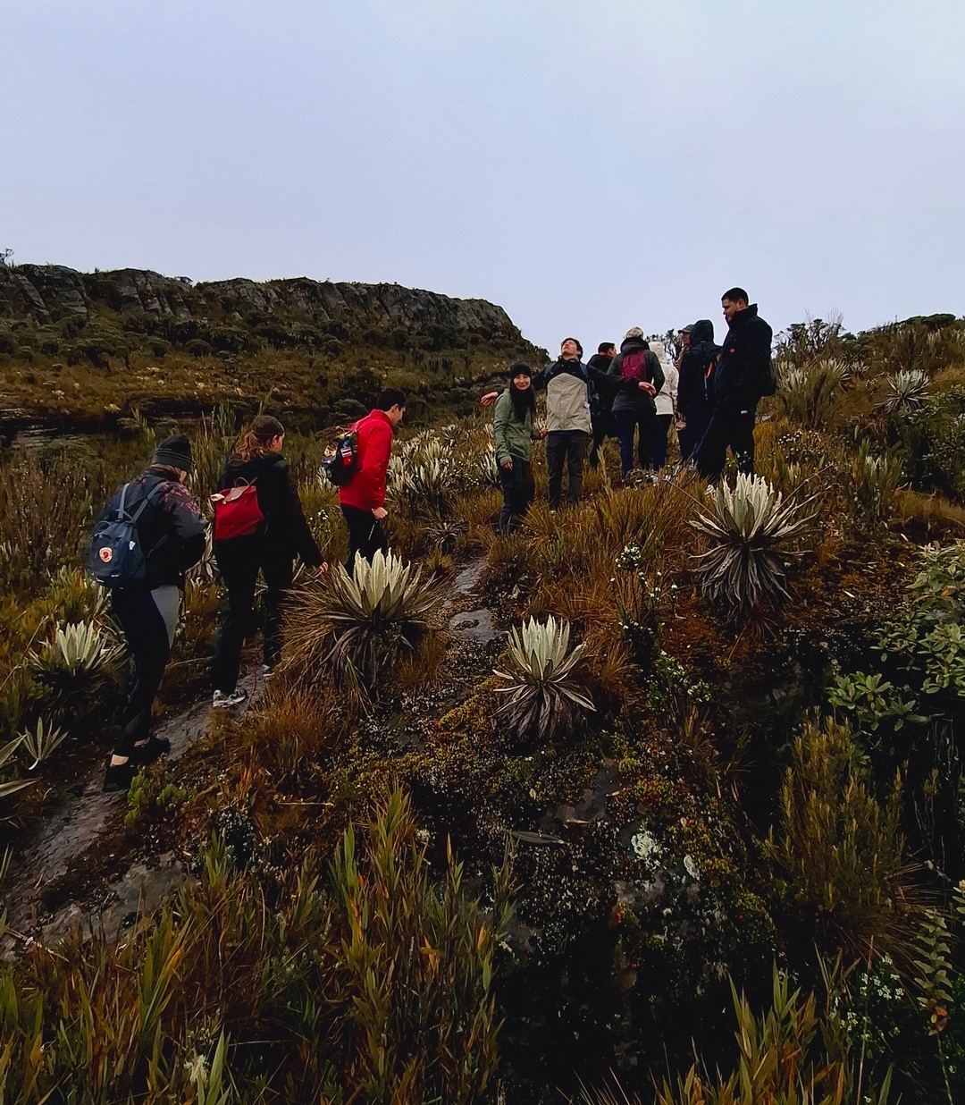 FAQ's - Image_ FAQ's - Image_