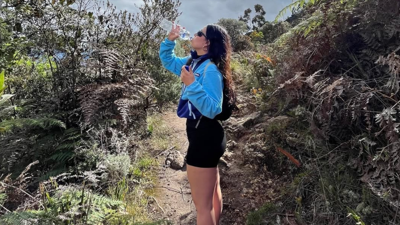 Forest trail in Bogotá's Eastern Hills on the Las Moyas hike, Colombia