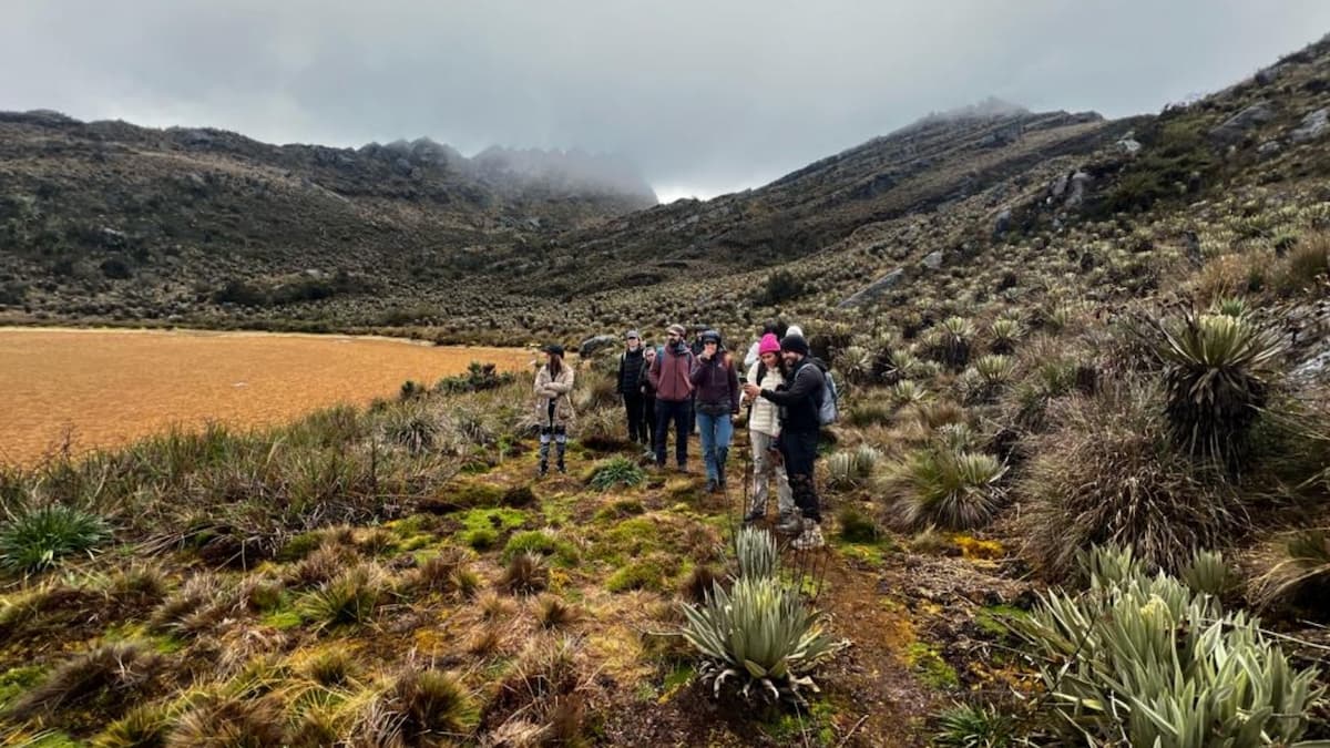 ravelers hiking across the páramo trail in Sumapaz Páramo, Colombia