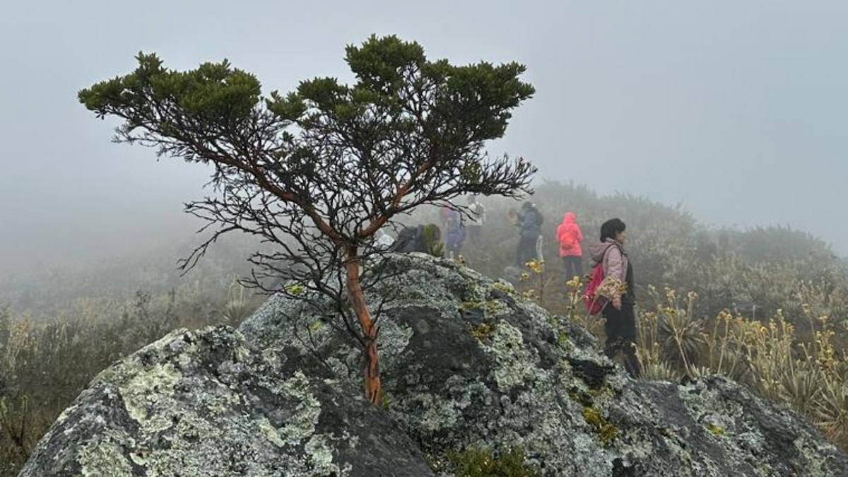 Hikers walking through fog and rocks in Sumapaz Páramo, Colombia