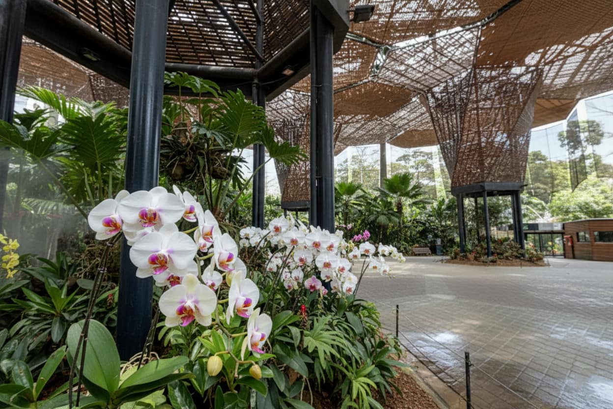 Orquídeas en flor en el Parque Arví, Medellín, Colombia