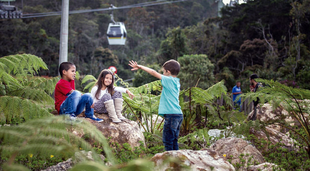 Niños jugando entre helechos en el Parque Arví, Medellín, Colombia