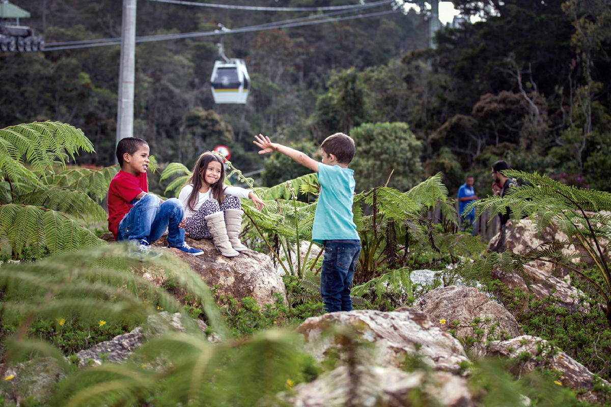 Children playing among ferns in Parque Arví, Medellín, Colombia