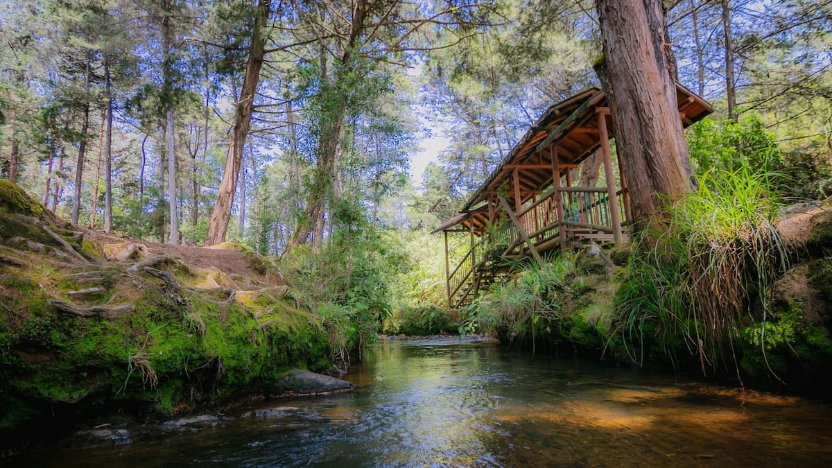 Forest stream flowing beside a wooden shelter in Parque Arví, Medellín, Colombia