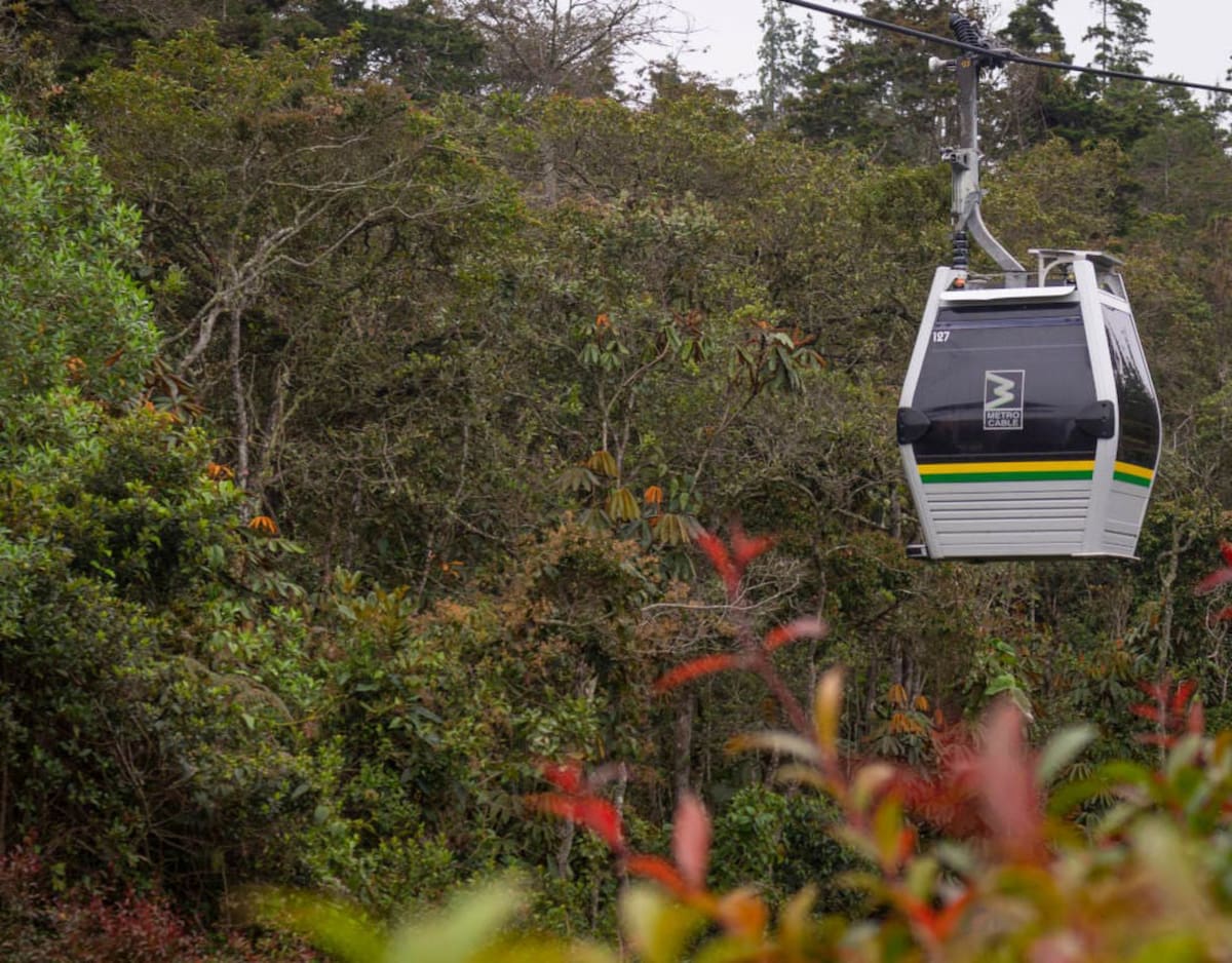 Metrocable cabin crossing the forest near Parque Arví, Medellín, Colombia