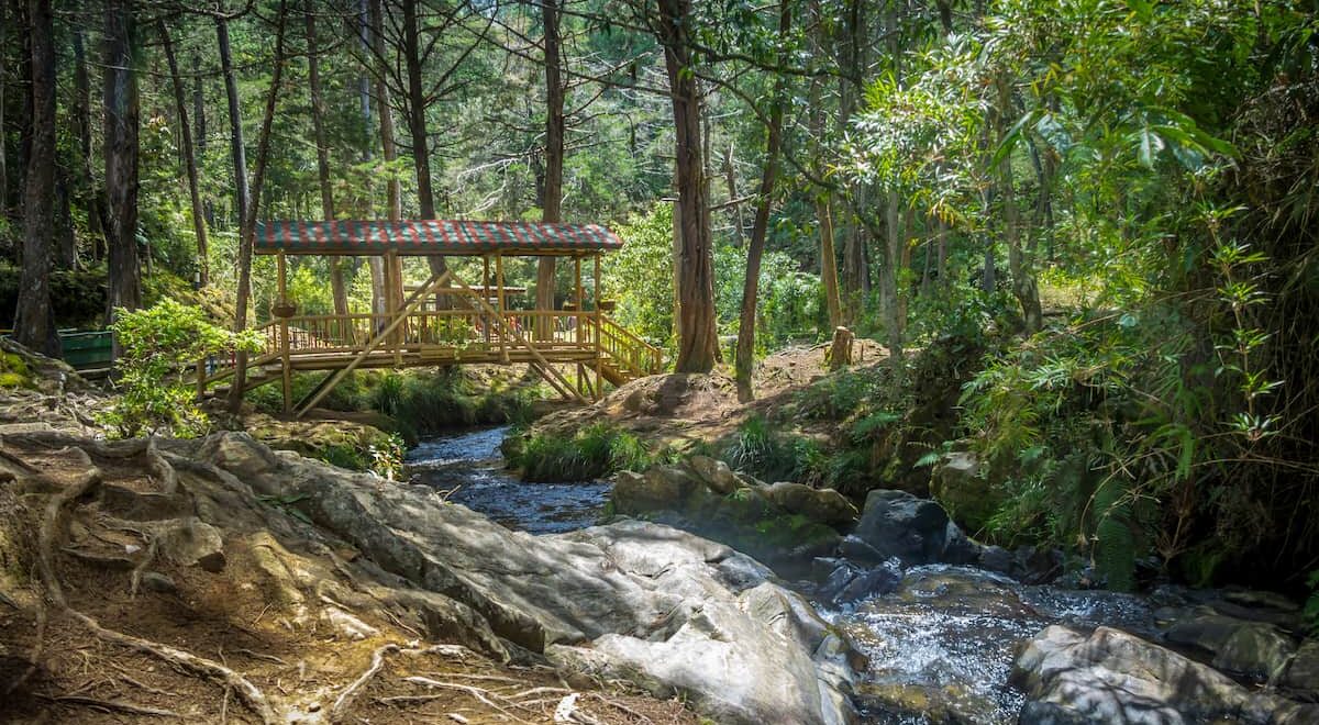 Puente de madera sobre un arroyo rocoso en el Parque Arví, Medellín, Colombia