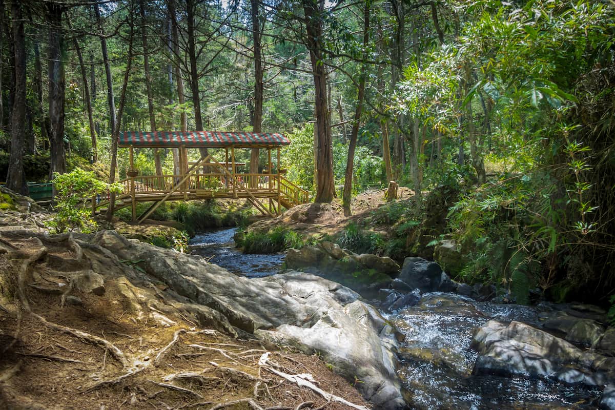 Wooden bridge over a rocky stream in Parque Arví, Medellín, Colombia