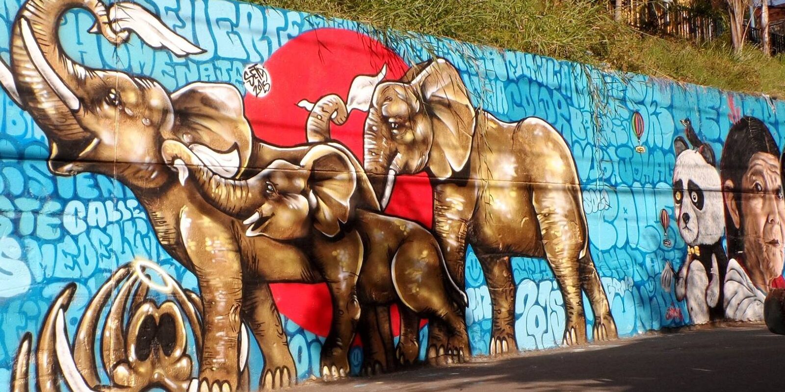 Elephant street art on a Graffiti Tour Medellin in Comuna 13, Medellin, Colombia