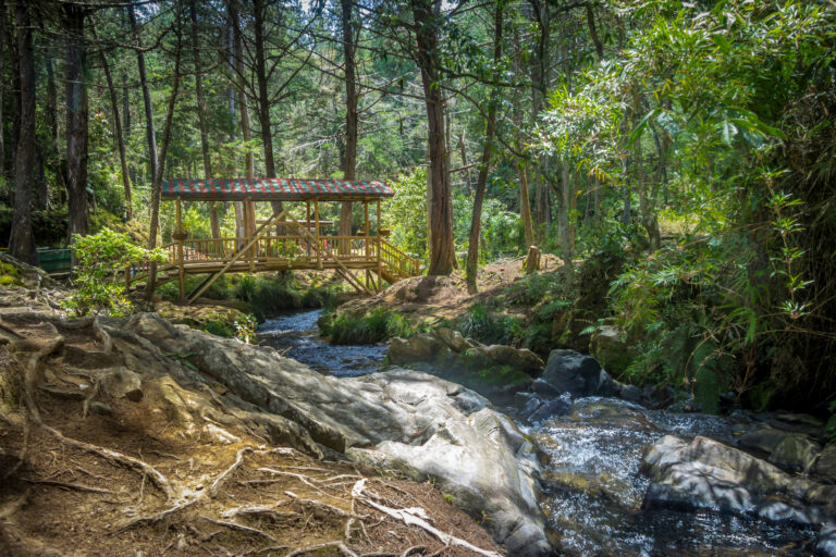Wooden bridge over a stream in the forest of Parque Arví, Medellín