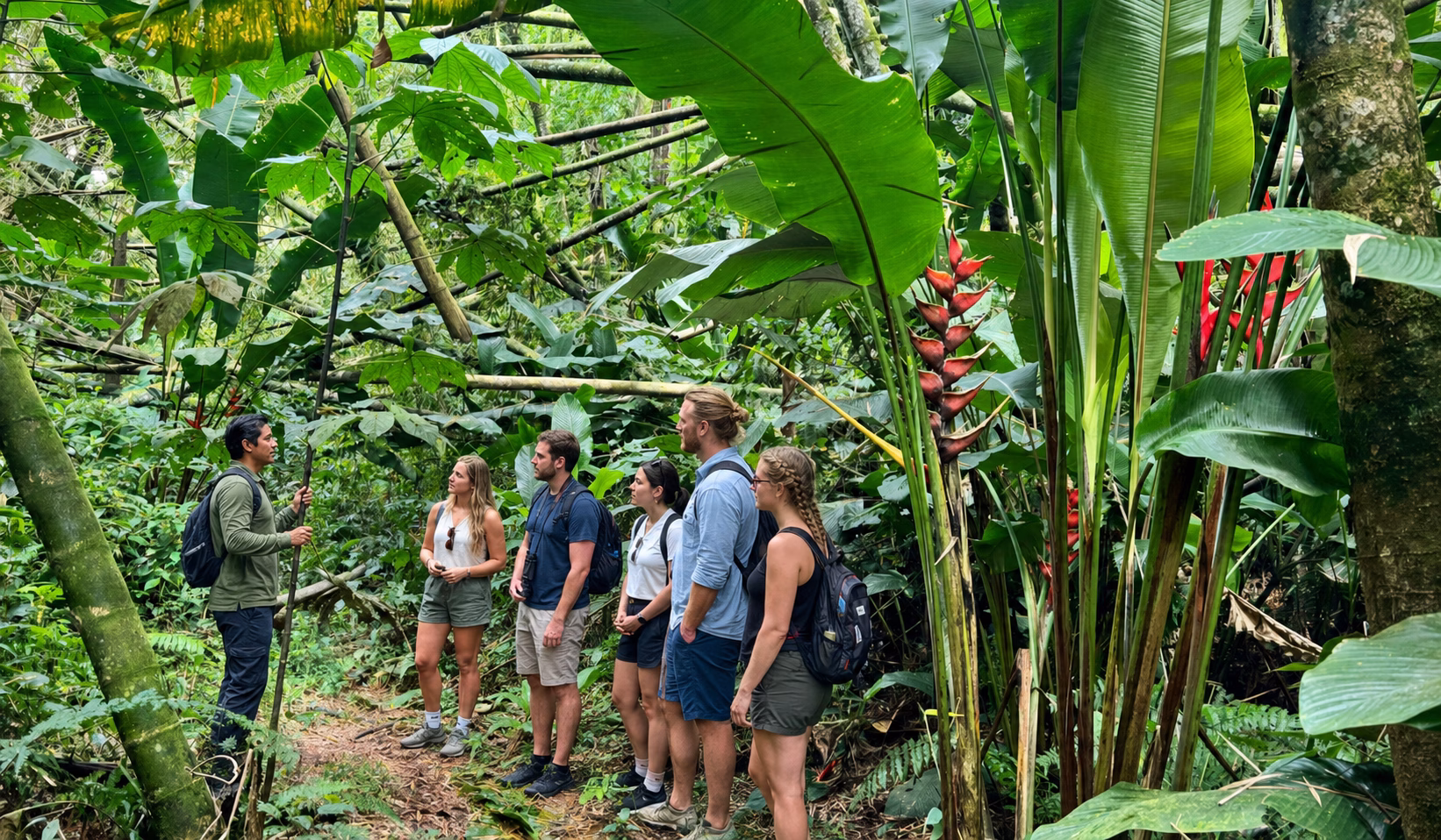 Guía local explicando el sendero de la plantación a los visitantes durante el tour de cacao Evelyza.