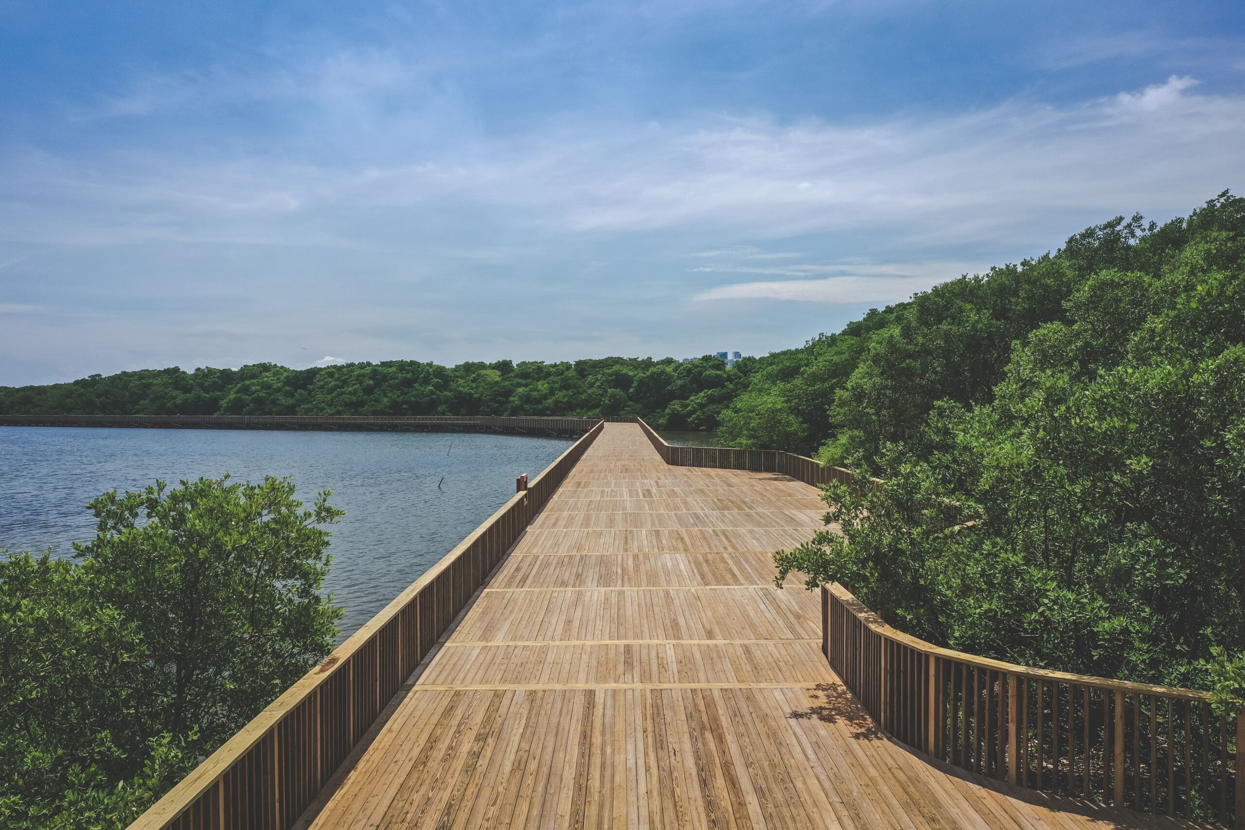 Long wooden boardwalk surrounded by mangroves and water under a wide blue sky at Mallorquin Eco-Park.