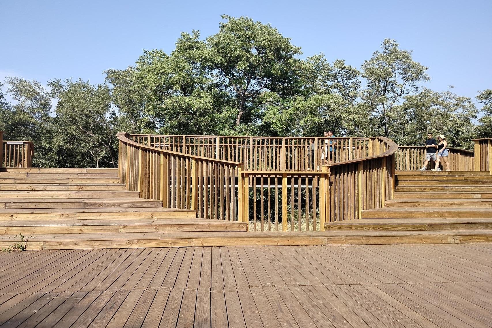 Curved wooden viewing platform rising above the mangroves at Mallorquin Eco-Park, designed for nature walks and scenic observation.