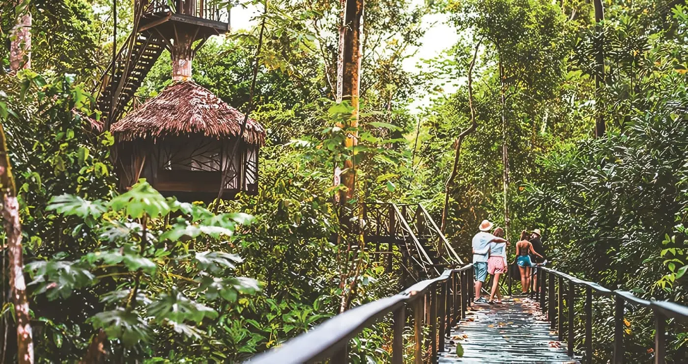 Wooden walkway leading through the rainforest at a lodge on an Amazon Three Borders Tour Colombia.