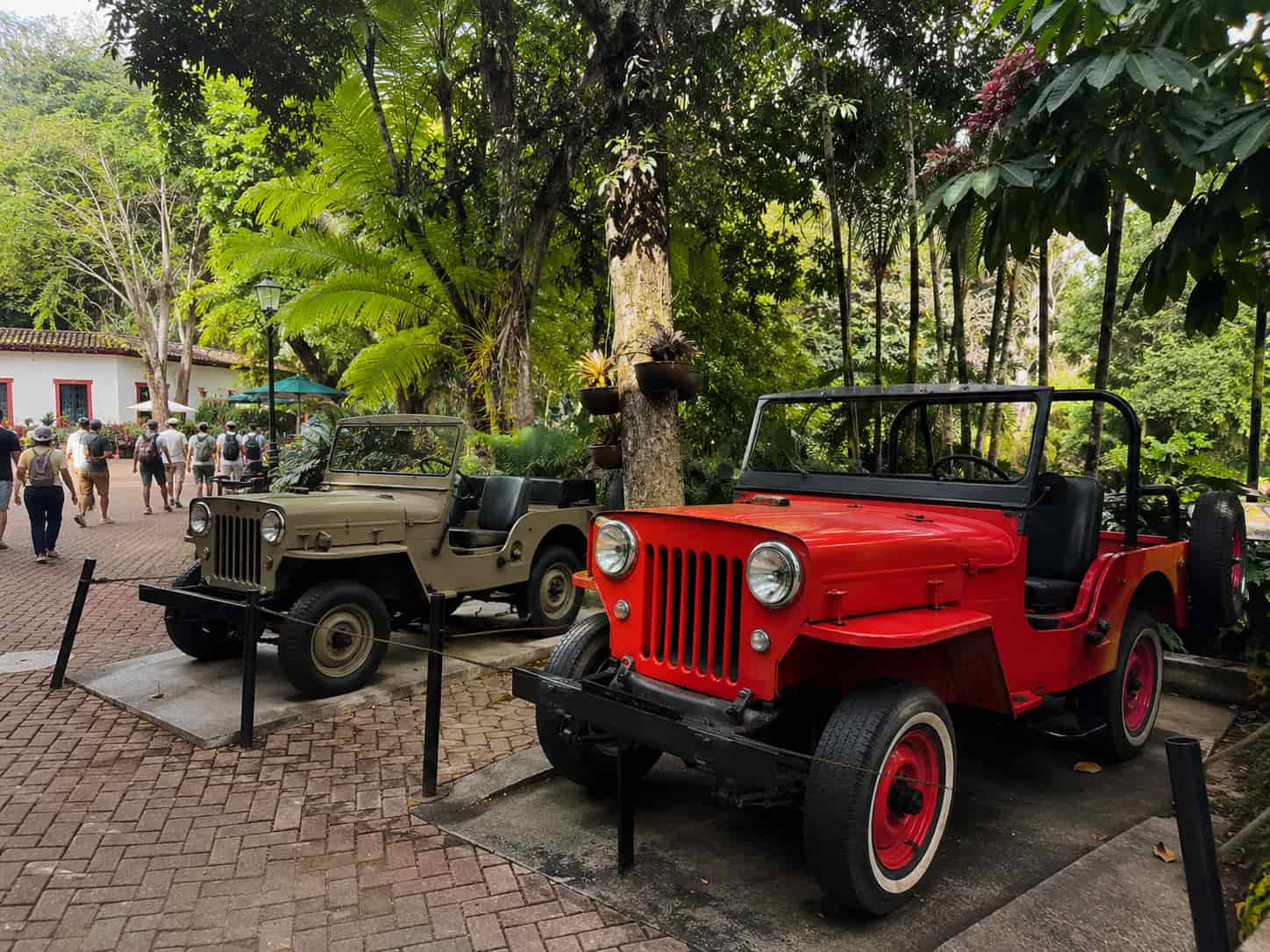 willys jeep display and coffee cultural show at parque del cafe colombia