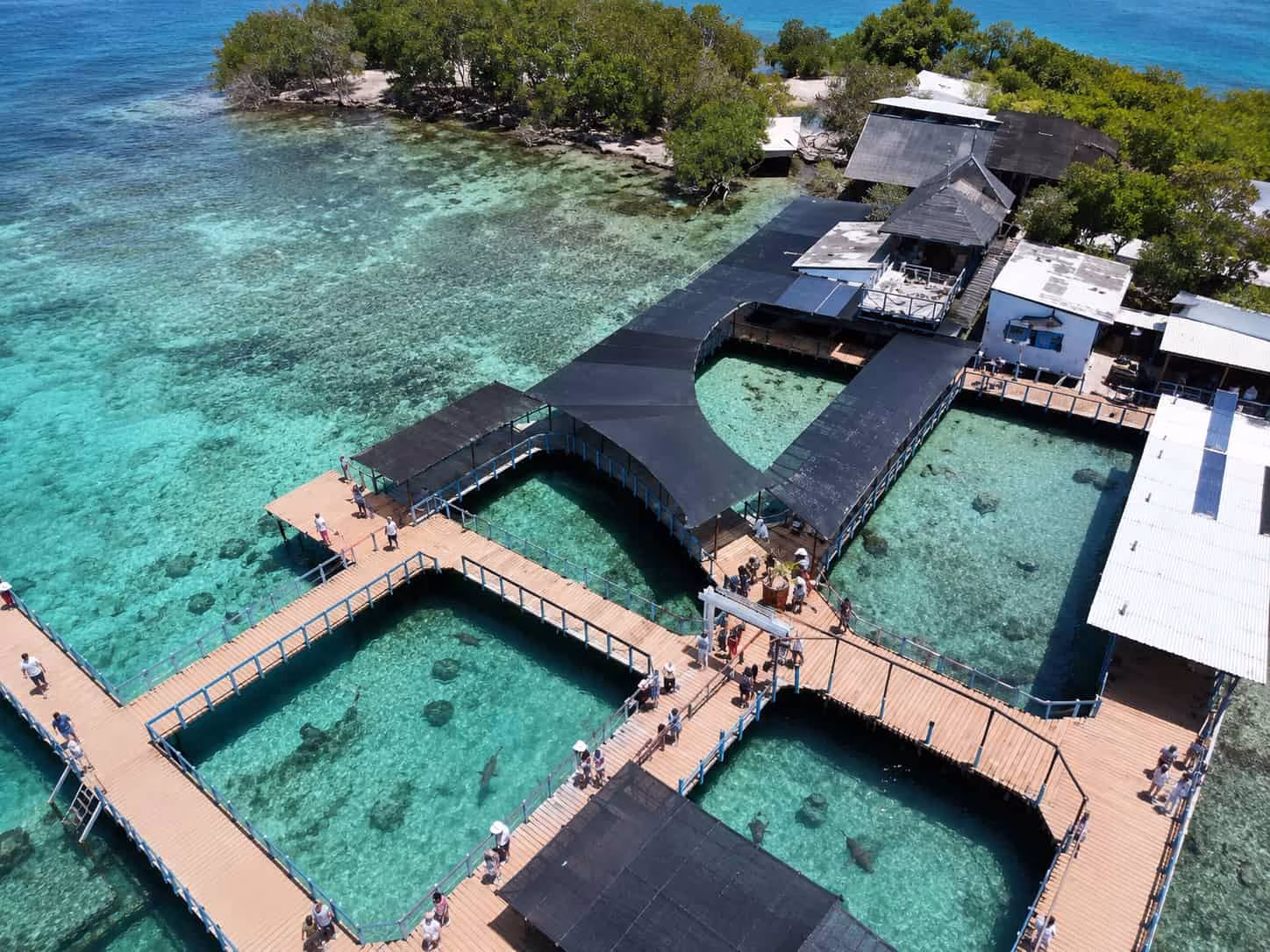 aerial photograph oceanario cartagena sealife