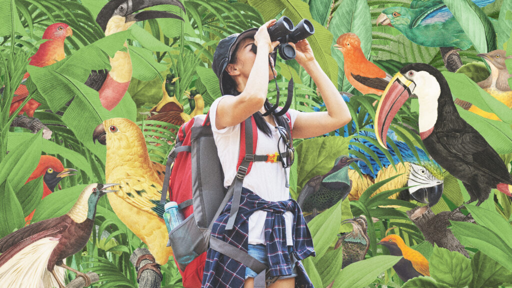 Illustration of a traveler using binoculars surrounded by tropical birds, representing a Birding Amazon Tour.
