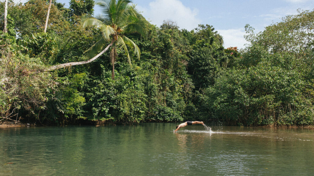 Person diving into a peaceful jungle lagoon at the Natural pool Palomino.