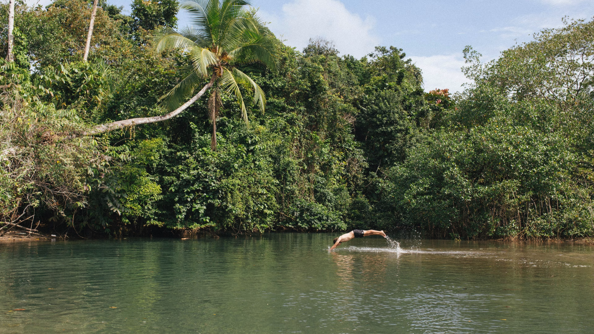 Persona lanzándose a una laguna tranquila en la selva en la piscina natural de Palomino.