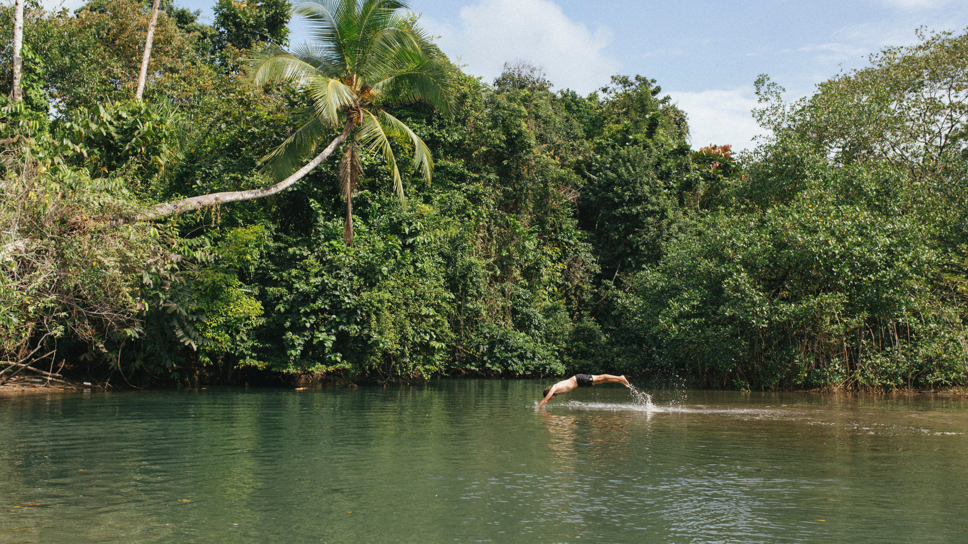 Person diving into a peaceful jungle lagoon at the Natural pool Palomino.