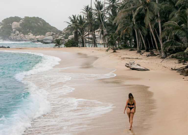 A traveler walking along a palm-lined beach in Tayrona National Park